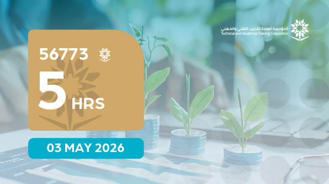 الاستدامة المالية